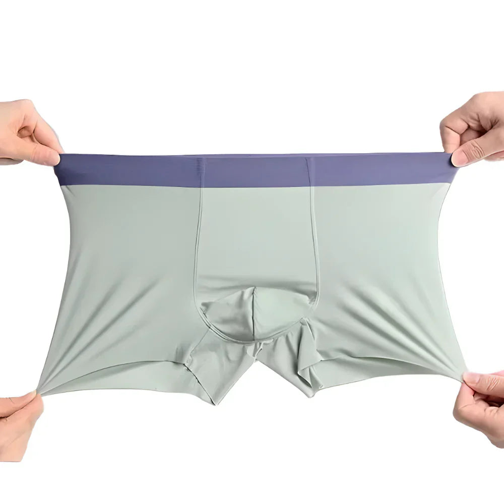 NEW YEAR DHAMAKA SALE | Ice Silk Boxer Briefs | PACK OF 4 | ONLY ₹499