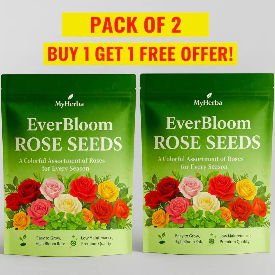 EverBloom Rose Seeds – Guaranteed to Grow Anywhere🌸 (Buy 1 Get 1)