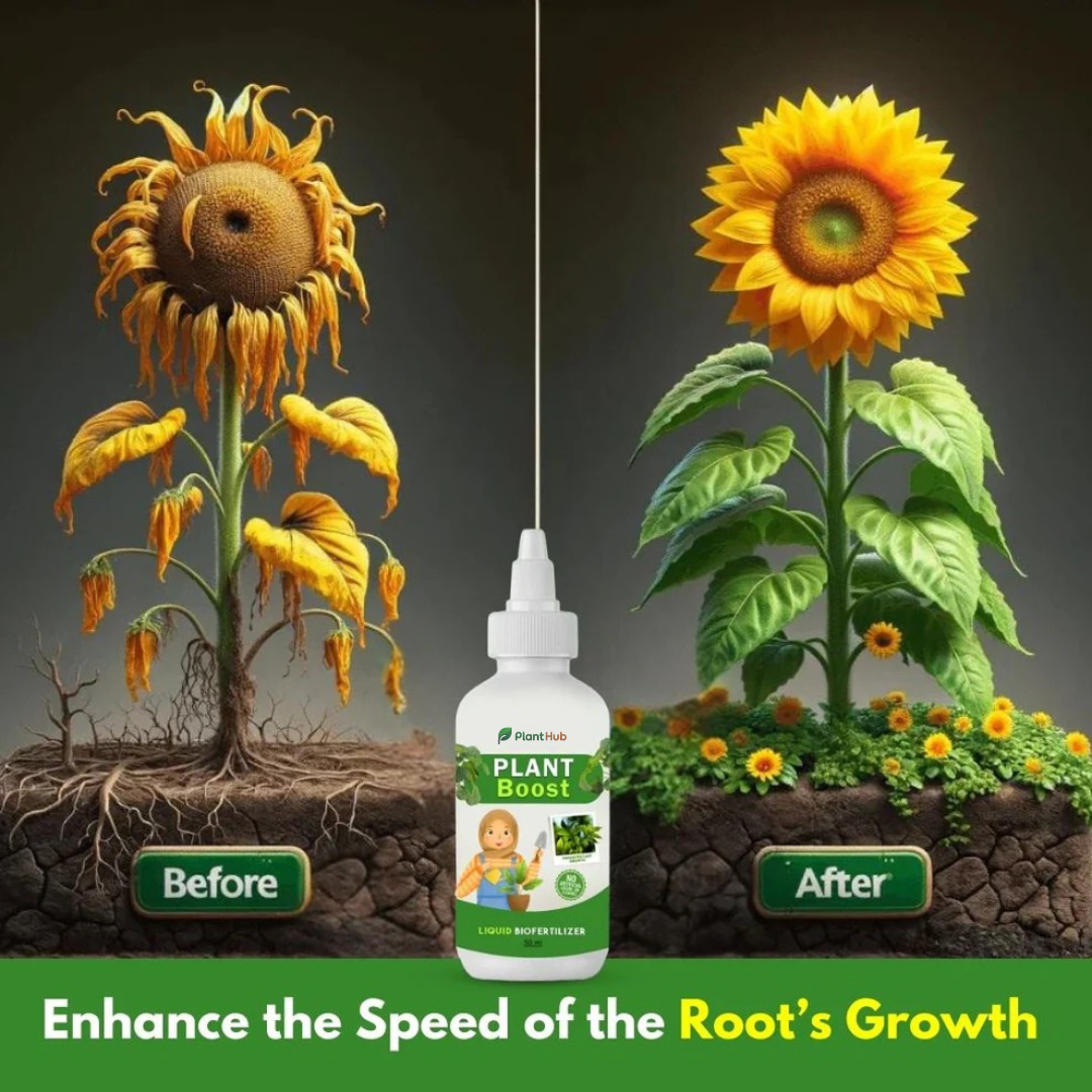 Plant Boost Combo (3 Plant Boost Packs with FREE 2 Flower Seed Packs)