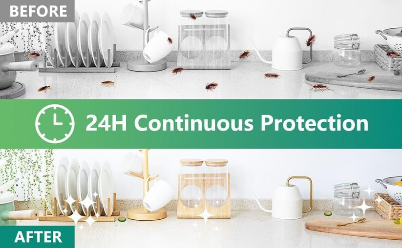 𝐏𝐞𝐬𝐭 𝐜𝐨𝐧𝐭𝐫𝐨𝐥 𝐆𝐞𝐥 𝐛𝐨𝐱 | 𝐁𝐮𝐲 𝟏 𝐠𝐞𝐭 𝟏 𝐅𝐫𝐞𝐞