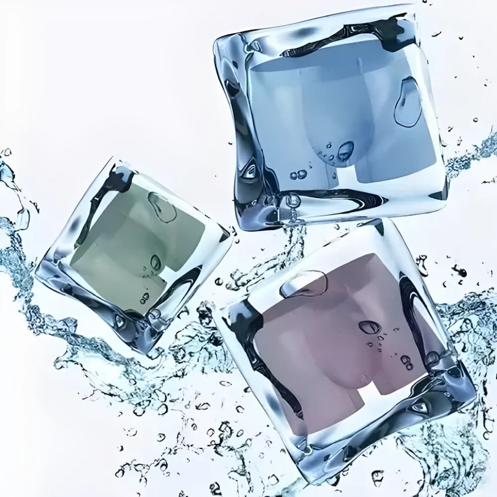 NEW YEAR DHAMAKA SALE | Ice Silk Boxer Briefs | PACK OF 4 | ONLY ₹499