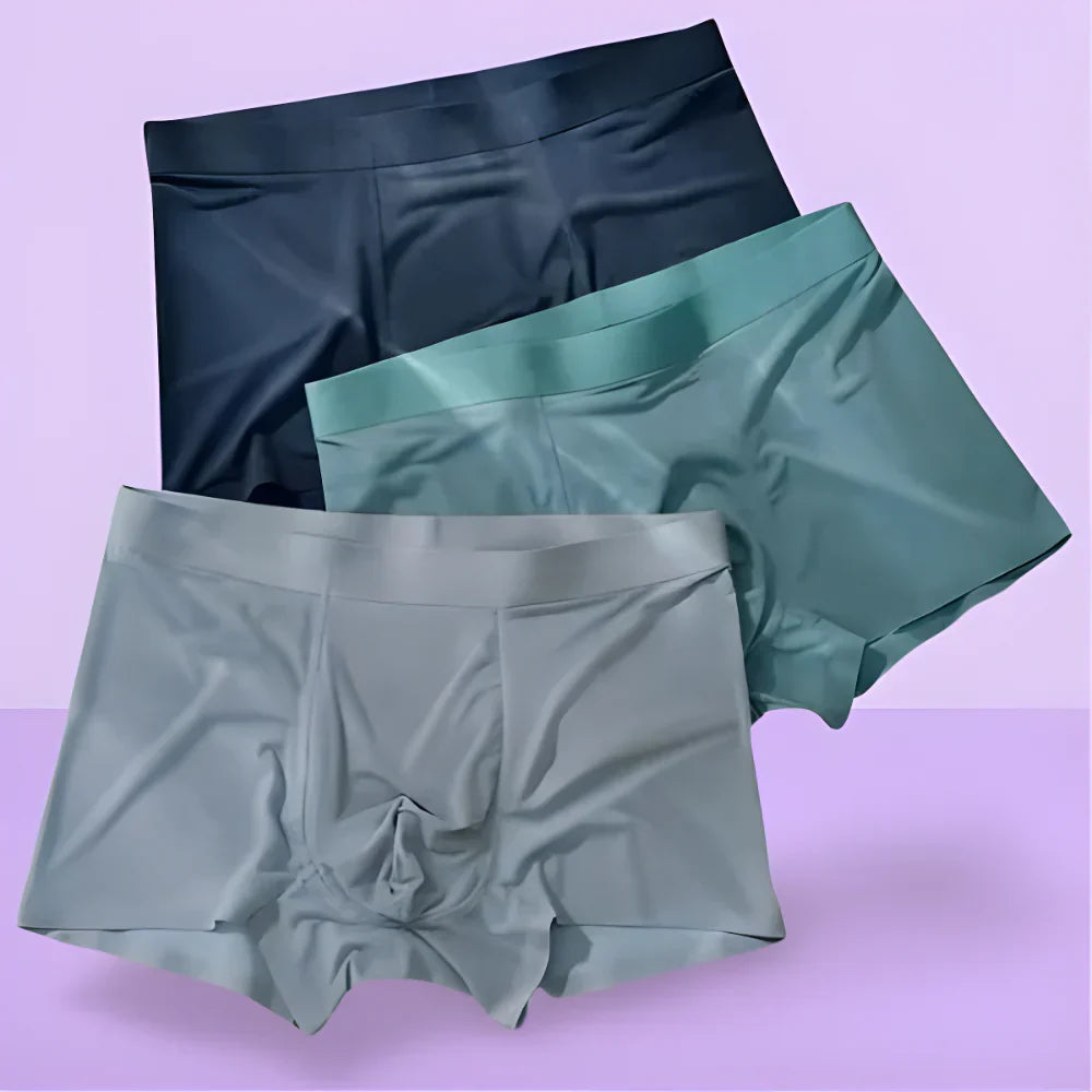NEW YEAR DHAMAKA SALE | Ice Silk Boxer Briefs | PACK OF 4 | ONLY ₹499